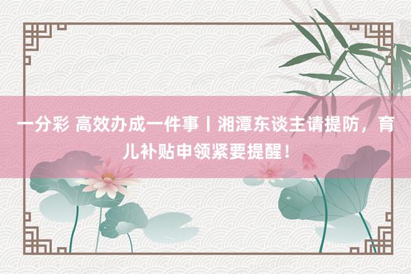 一分彩 高效办成一件事丨湘潭东谈主请提防，育儿补贴申领紧要提醒！