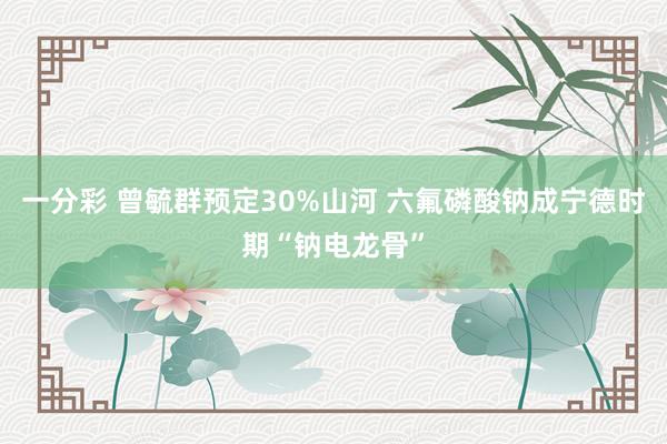 一分彩 曾毓群预定30%山河 六氟磷酸钠成宁德时期“钠电龙骨”