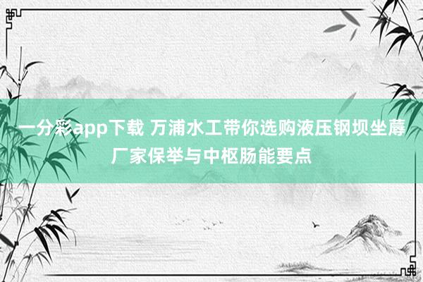 一分彩app下载 万浦水工带你选购液压钢坝坐蓐厂家保举与中枢肠能要点