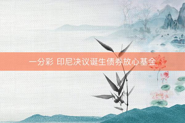 一分彩 印尼决议诞生债券放心基金